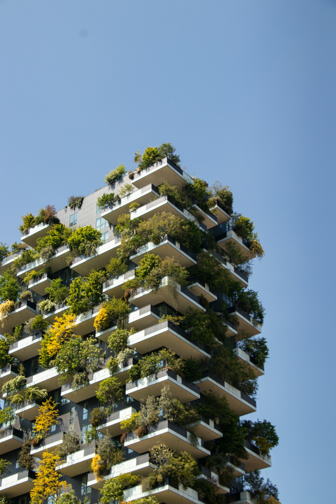 Eco-Friendly Residence