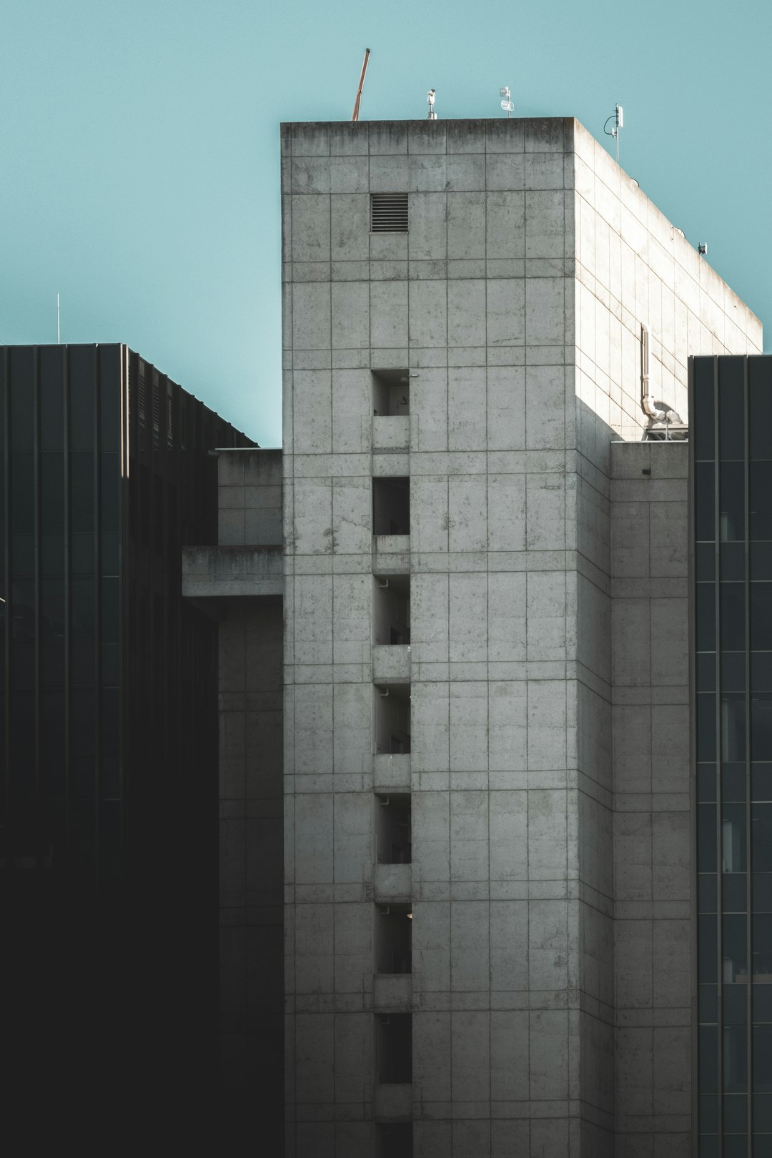 Project Manager
